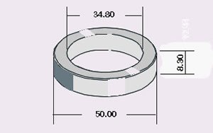 Seguro Ruleman de Palier D100 / D200