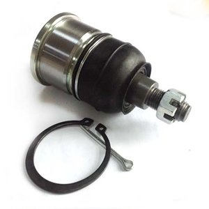 Rotula Inferior HONDA Accord 2003/2005